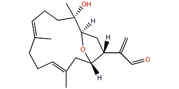 Culobophylin A